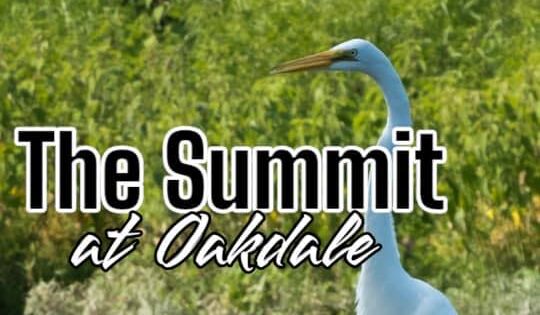 The Summit at Oakdale